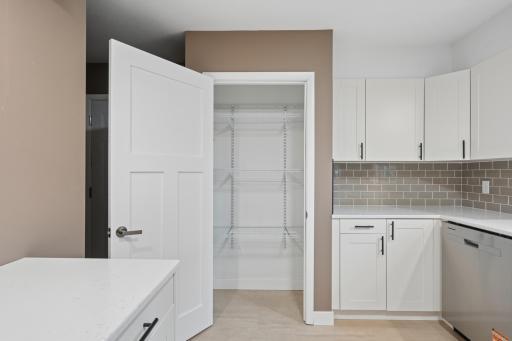 pantry or coat closet both work.jpg