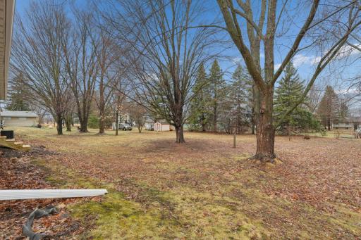 0.42 acre lot. You can do so much out here..jpg
