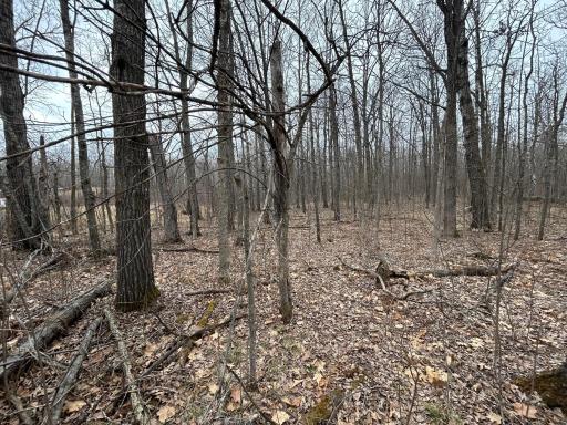 5814 36th Street NW, Akeley, MN 56433