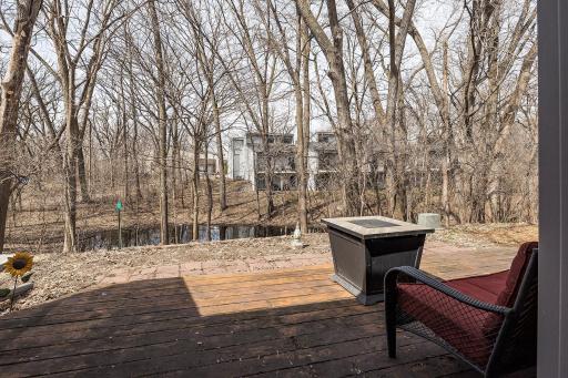 8395 139th Court, Saint Paul, MN 55124