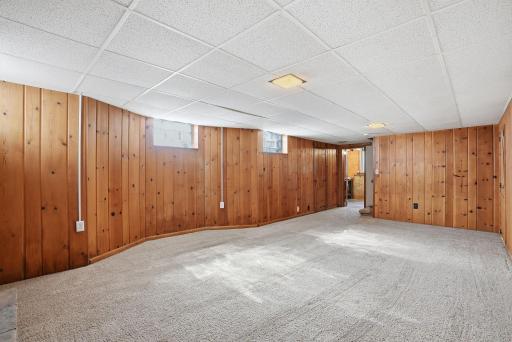 Basement Family Room