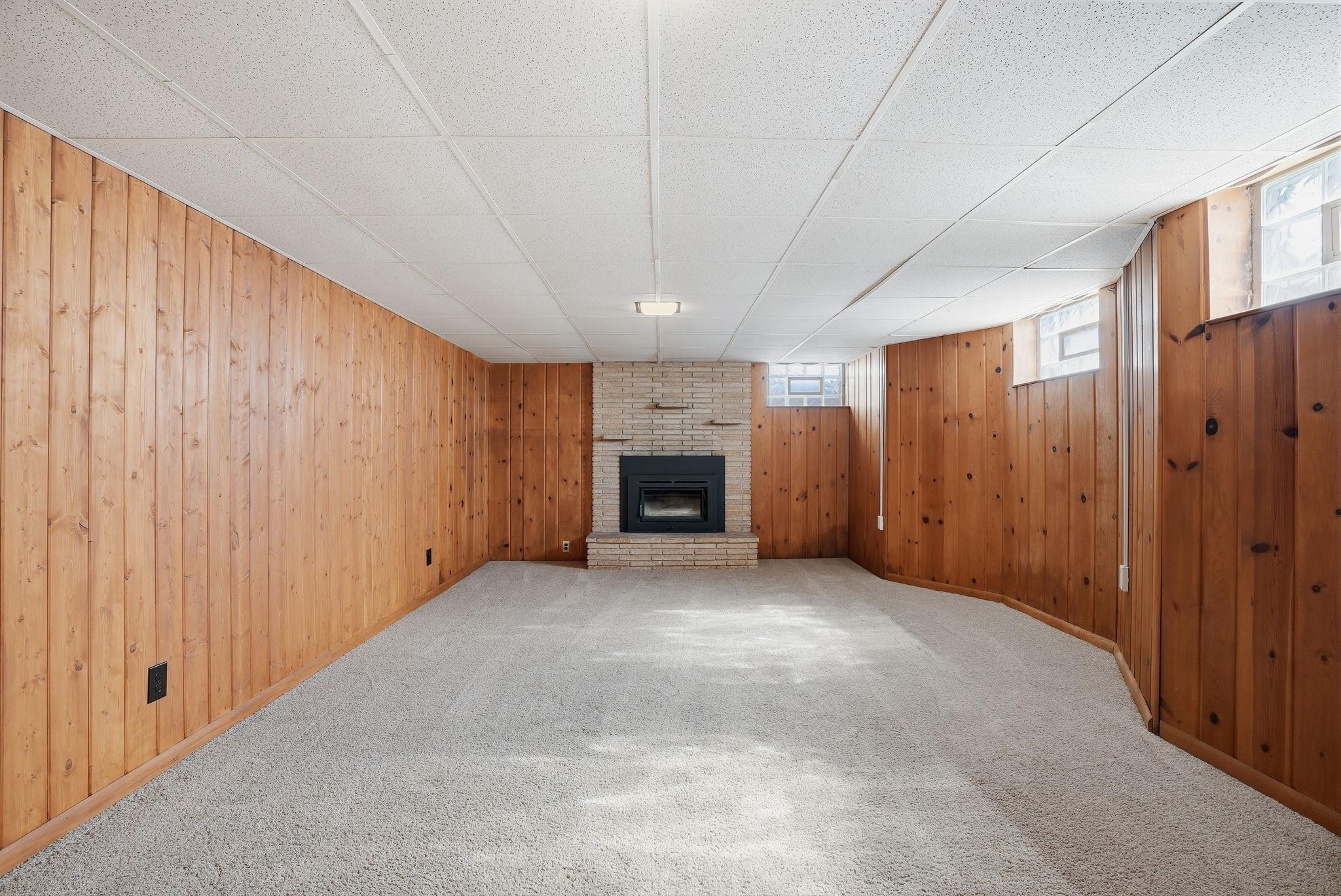 Wood burning insert in fireplace