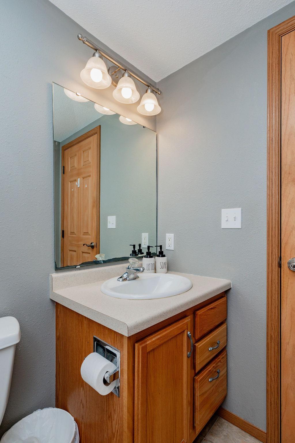 Lower-level bathroom