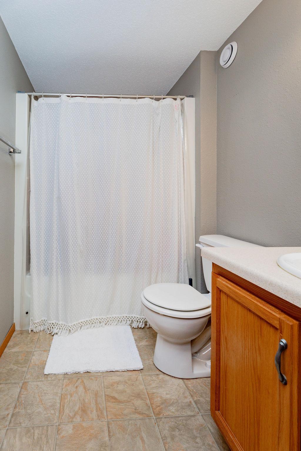Lower-level bathroom
