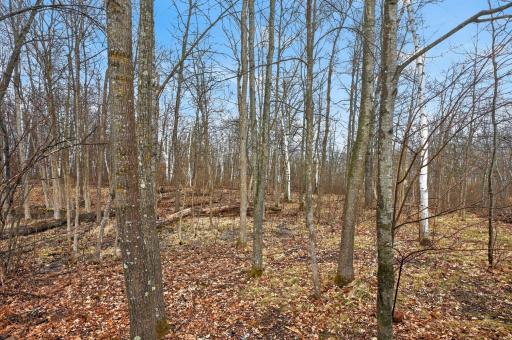 8092 Dakota Court SW, Motley, MN 56466