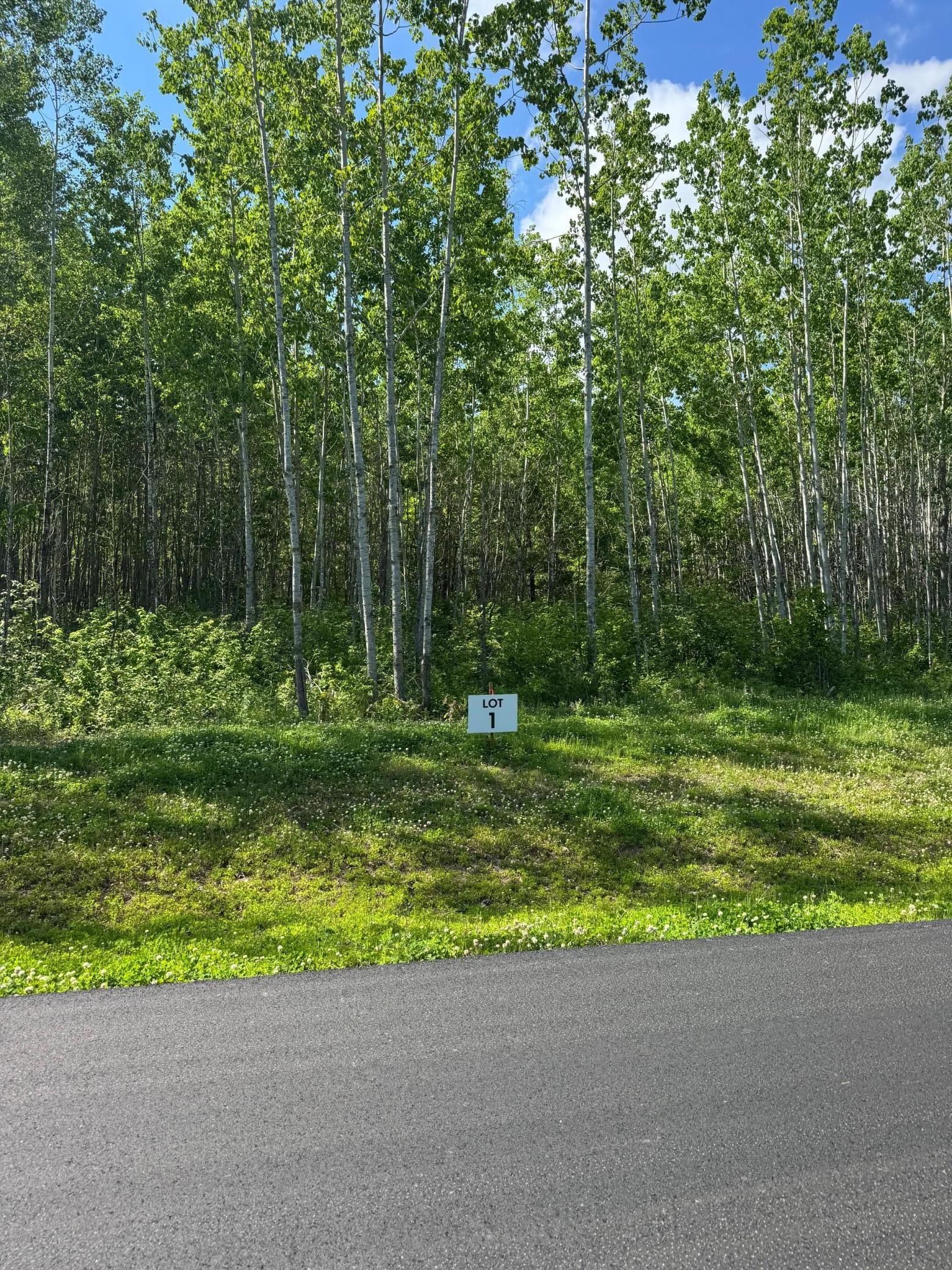 Lot 1.jpg