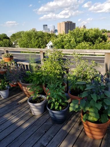 1912 Dupont Avenue S, 405, Minneapolis, MN 55403
