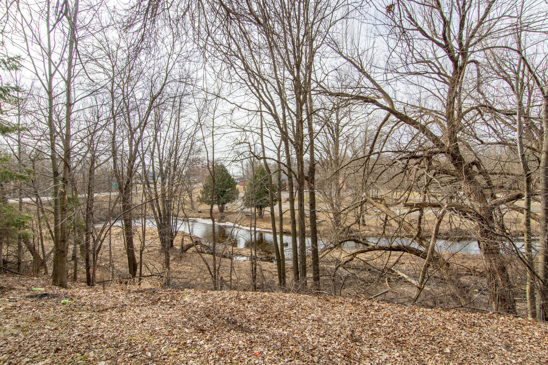 View of Ripple River