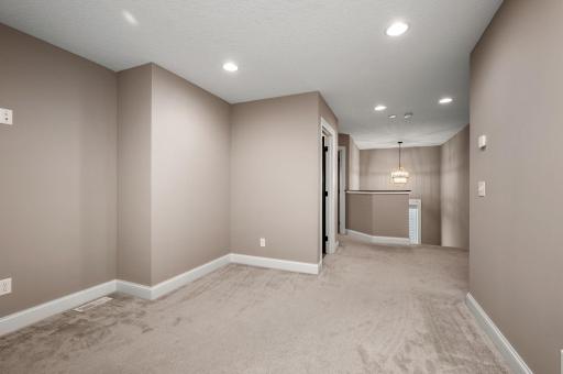 12790 Lake Vista Lane, Champlin, MN 55316