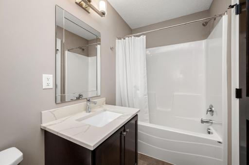 12790 Lake Vista Lane, Champlin, MN 55316