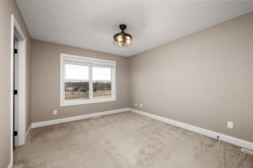 12790 Lake Vista Lane, Champlin, MN 55316