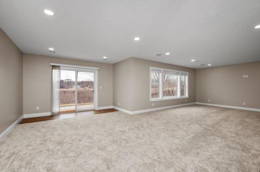12790 Lake Vista Lane, Champlin, MN 55316