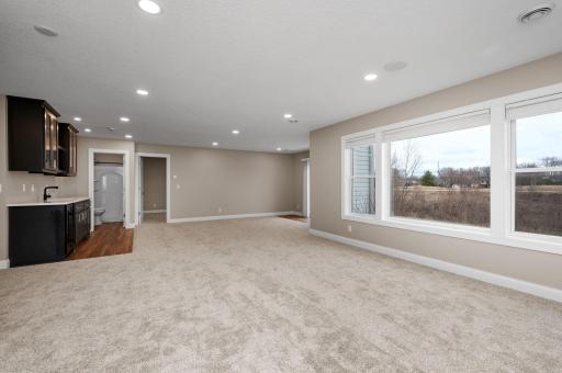 12790 Lake Vista Lane, Champlin, MN 55316