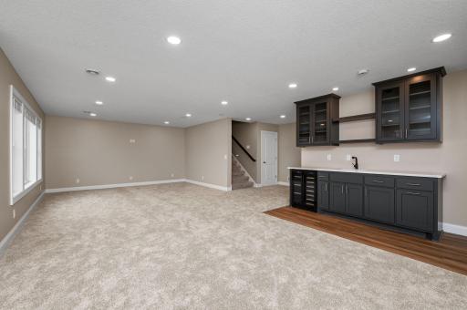 12790 Lake Vista Lane, Champlin, MN 55316
