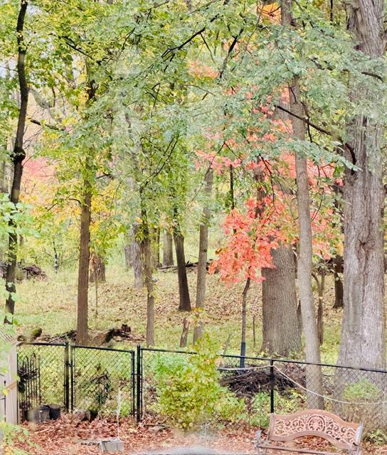 Home is Surrounded by Natural Beauty and Abundant Wildlife