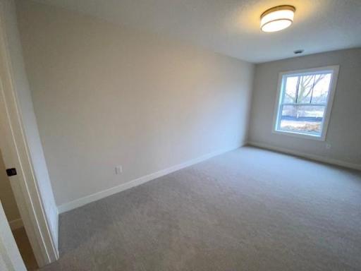 Lower Level bedroom includes large walk-in closet.