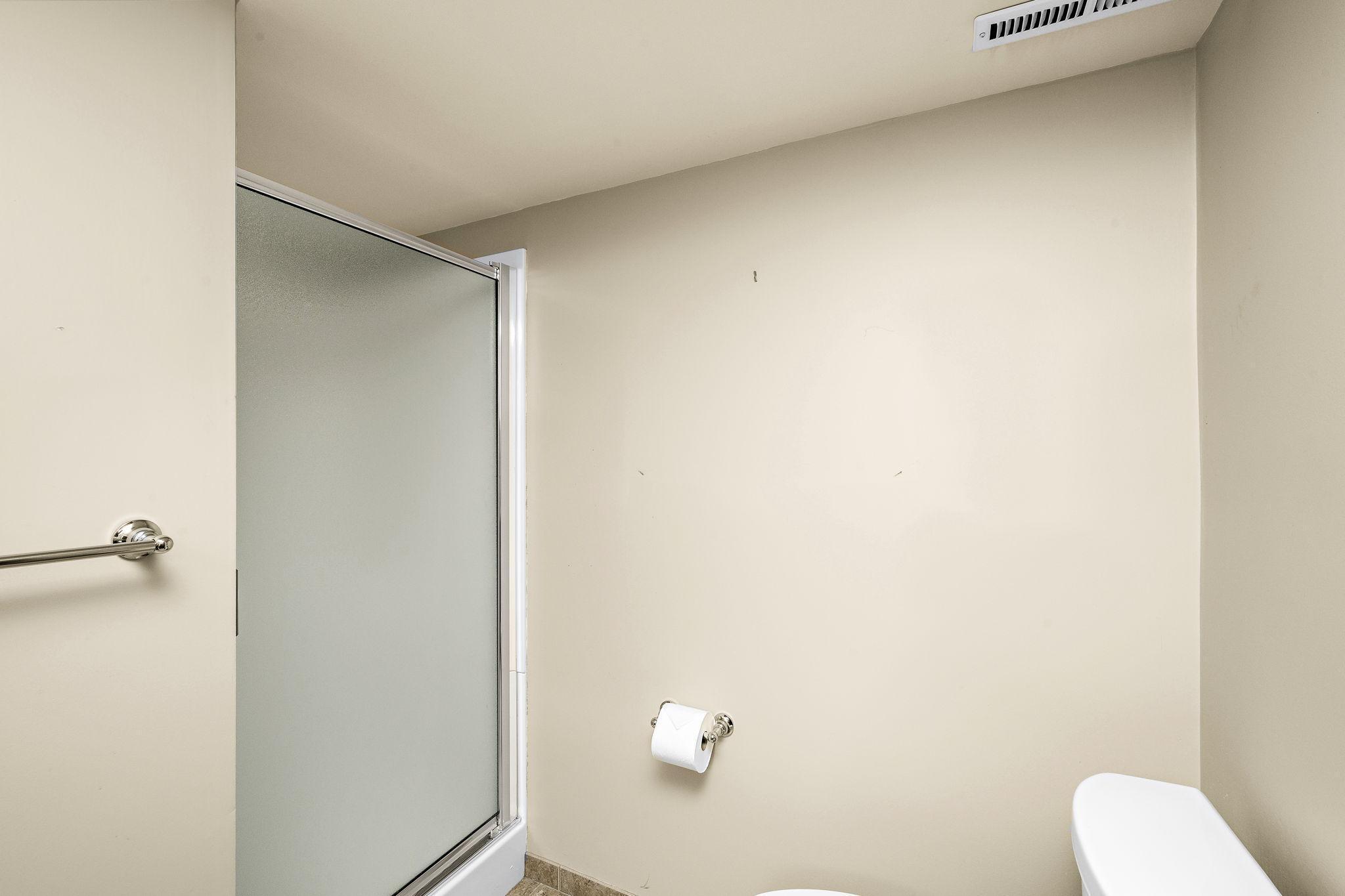 Lower Level Bathroom Shower