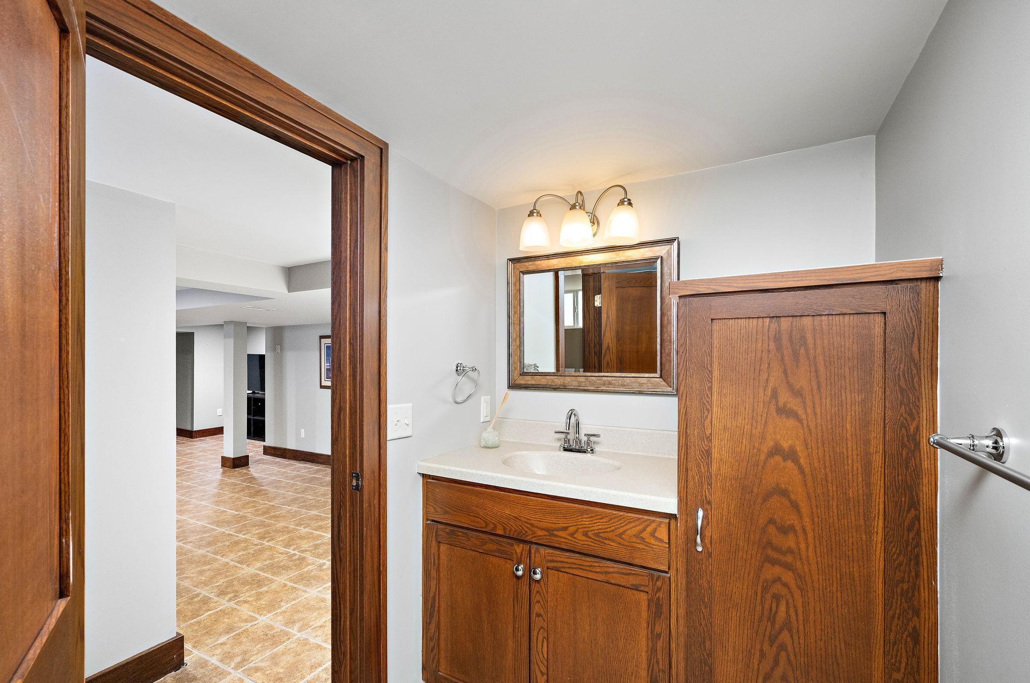 Lower Level Updated Bathroom