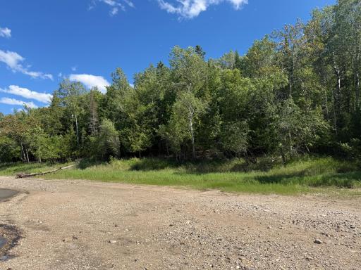 TBD Town Road 211, International Falls, MN 56649