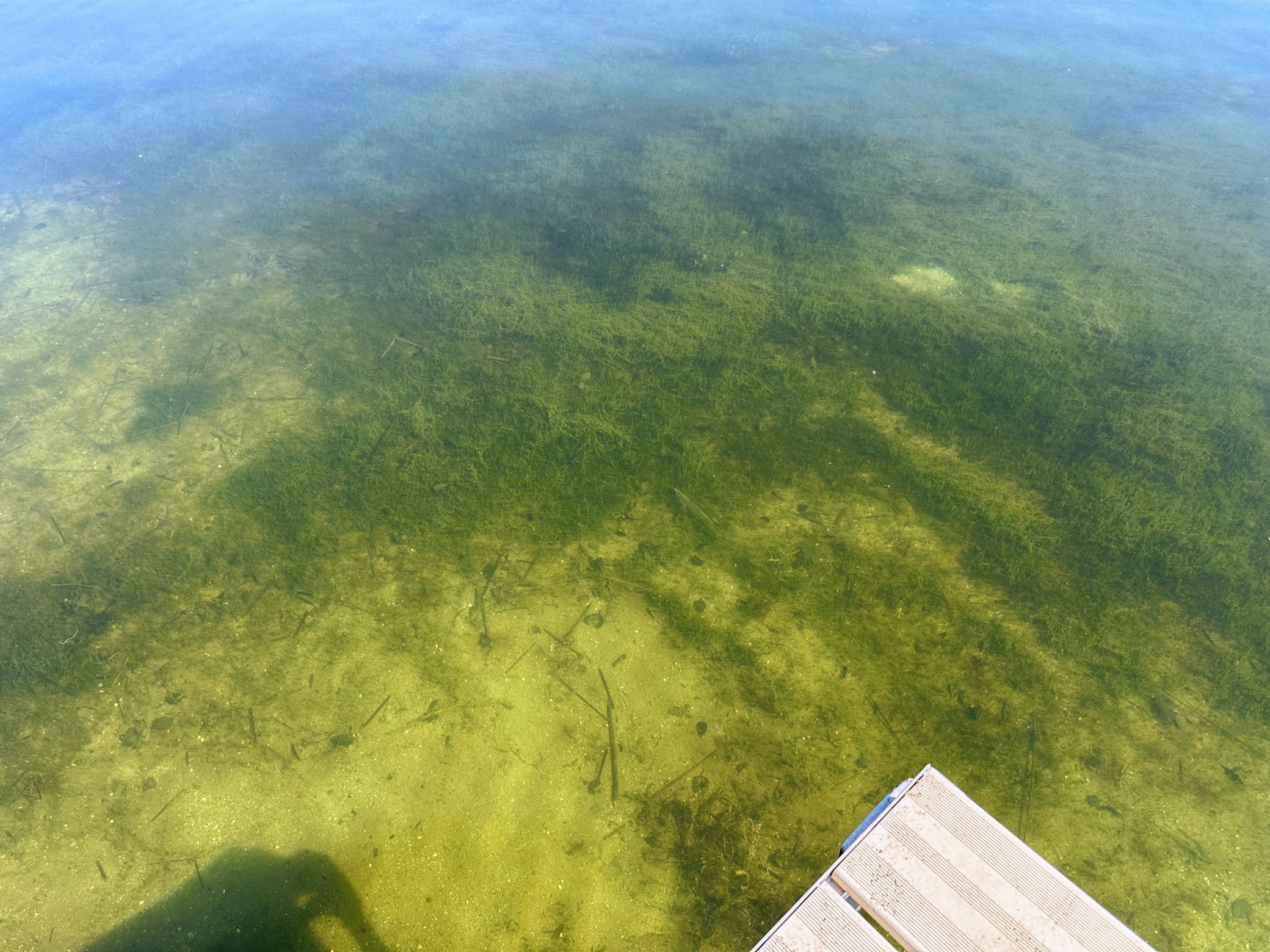 Lake bottom