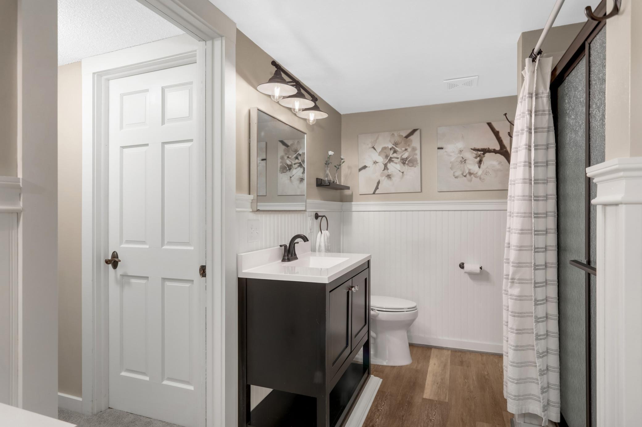 Lower Level Bathroom