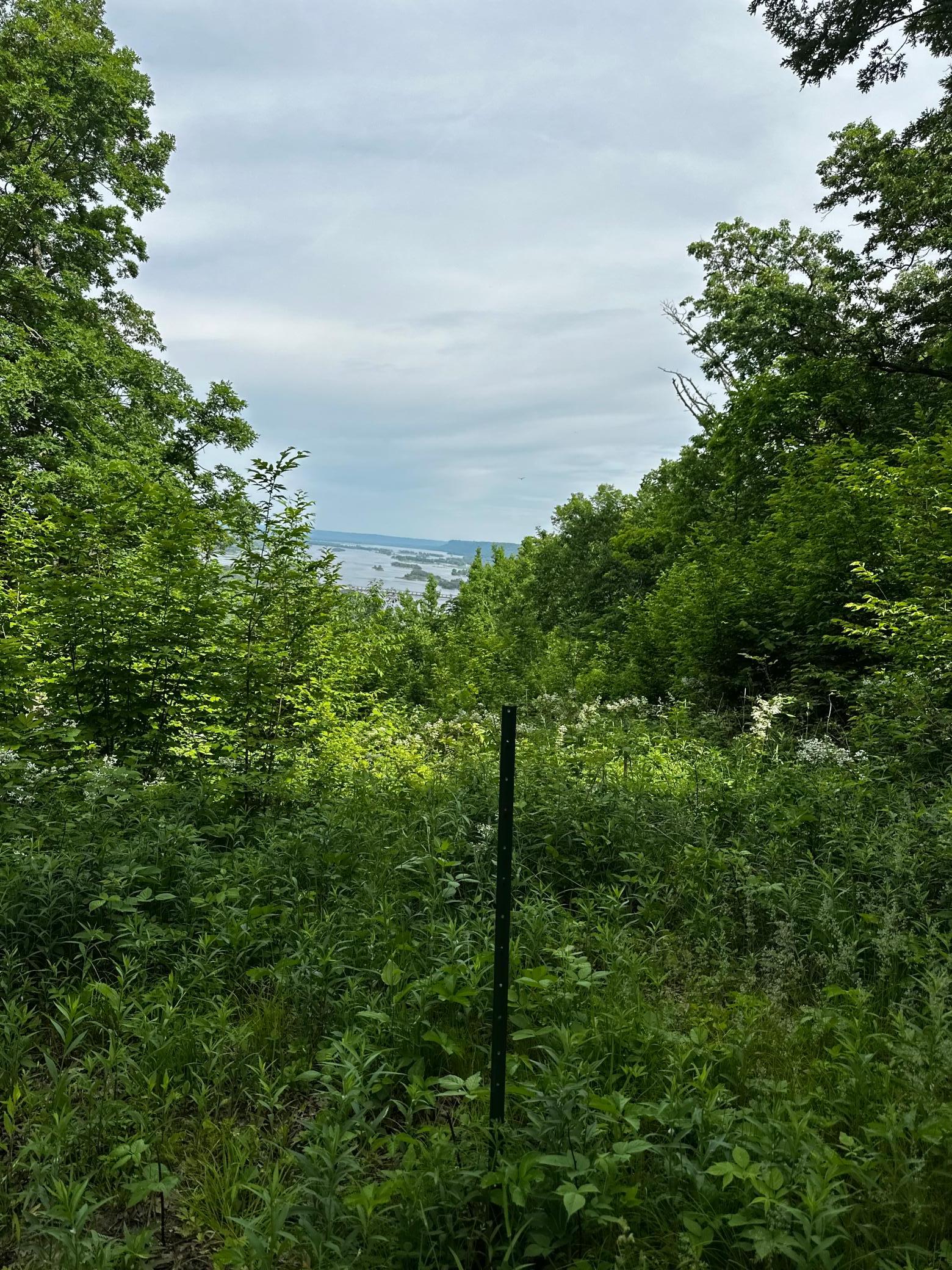 Property photo for Lot 1 Alma Hills, Alma, WI 54610