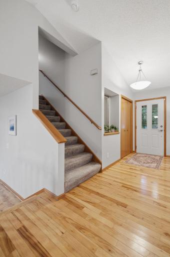 45-web-or-mls-6204_176th_St_W_Farmington_MN_051.jpg