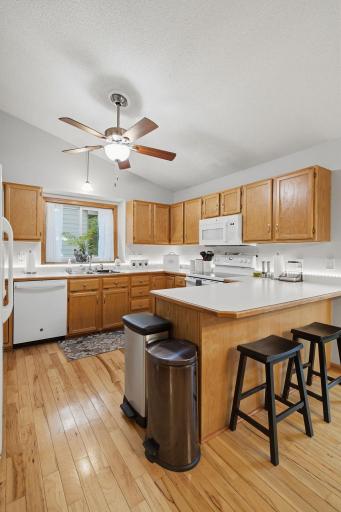 16-web-or-mls-6204_176th_St_W_Farmington_MN_022.jpg