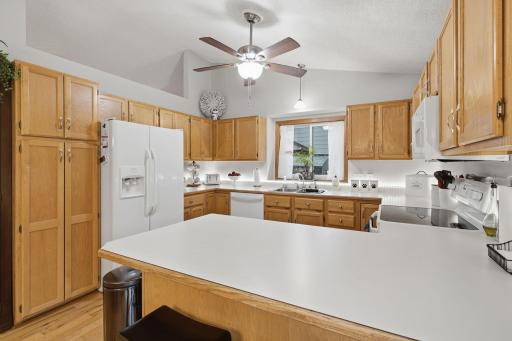 13-web-or-mls-6204_176th_St_W_Farmington_MN_019.jpg