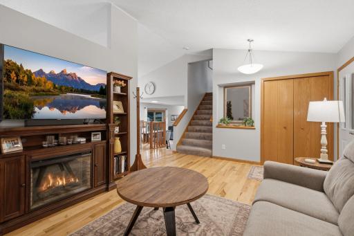11-web-or-mls-6204_176th_St_W_Farmington_MN_017.jpg