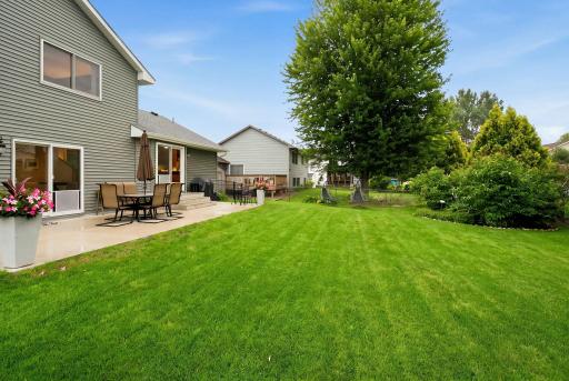 50-web-or-mls-6204_176th_St_W_Farmington_MN_009.jpg