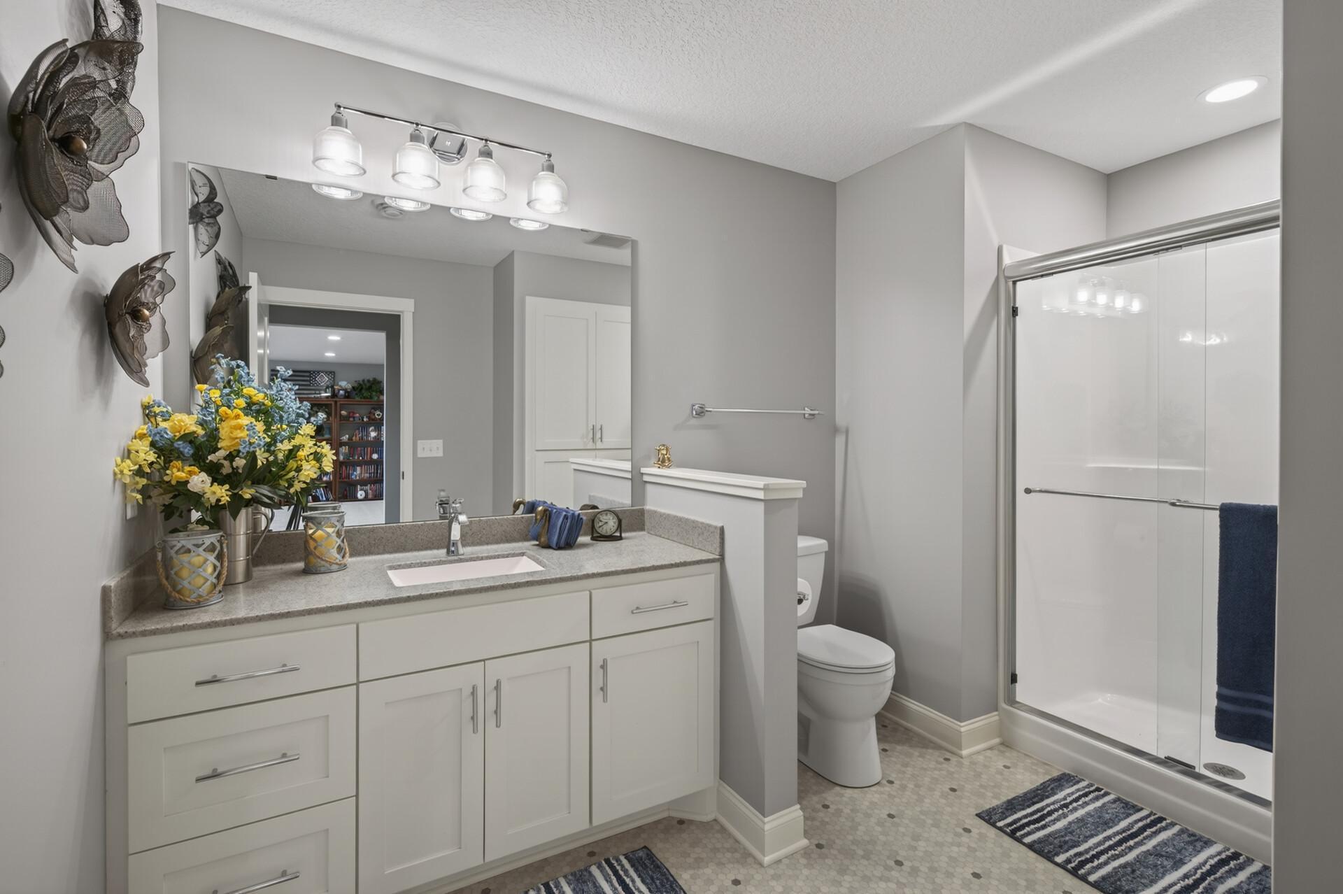 Lower level 3/4 bathroom