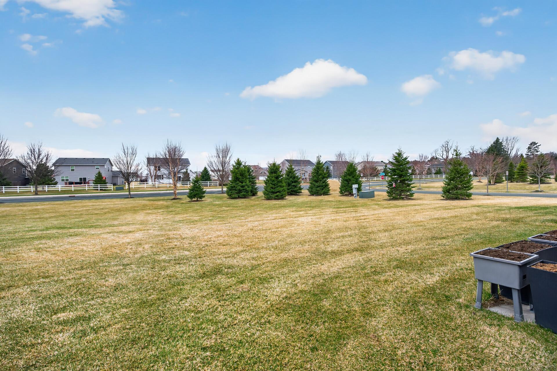 So much green space and backyard! Summers here are stunning!