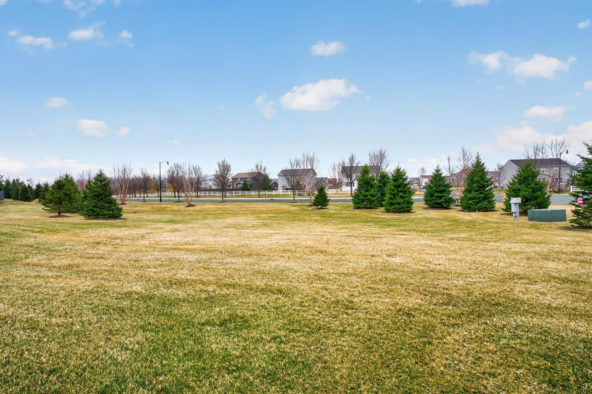 So much green space and backyard! Summer's here are stunning!