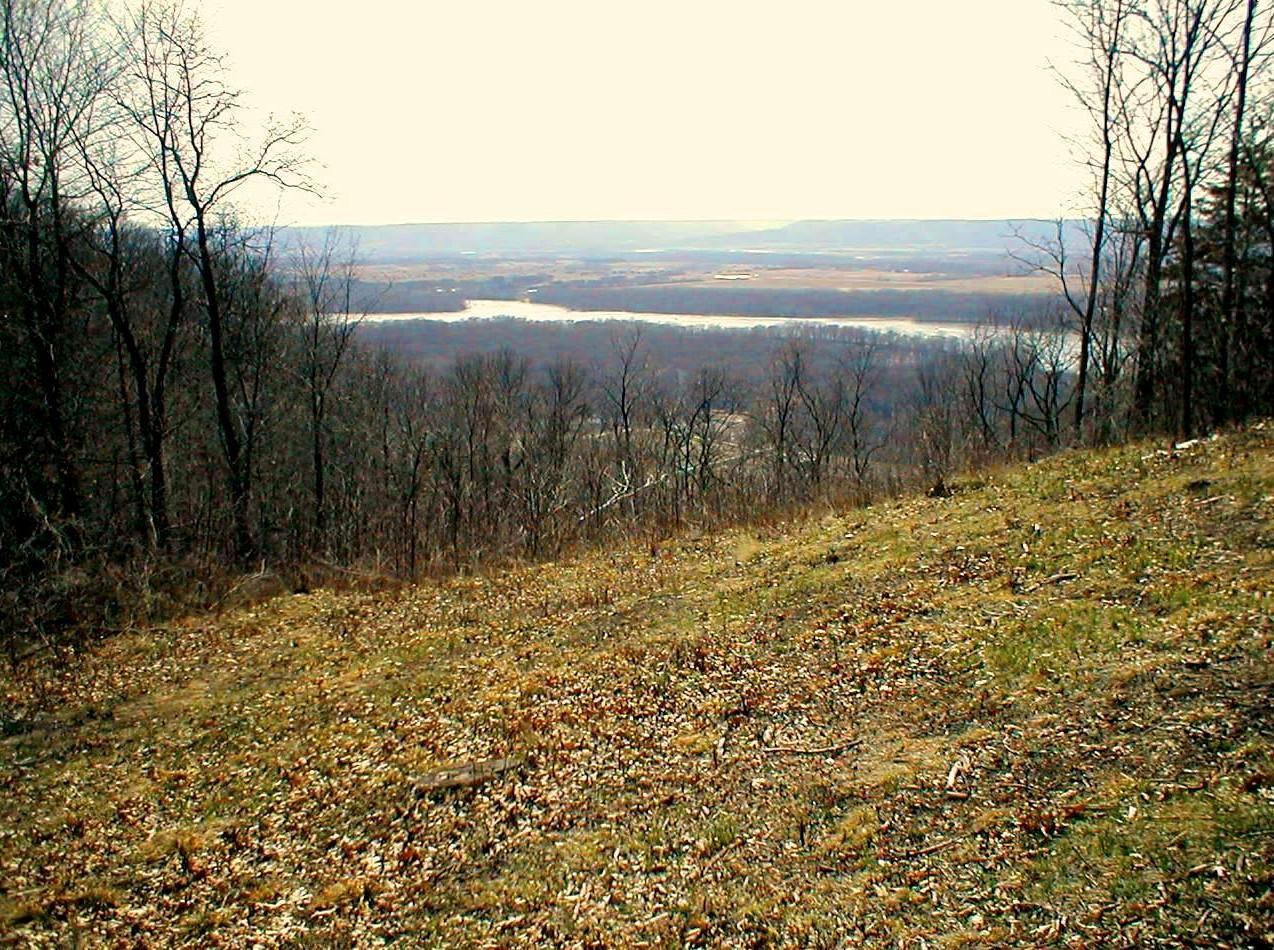 View from Lot 4