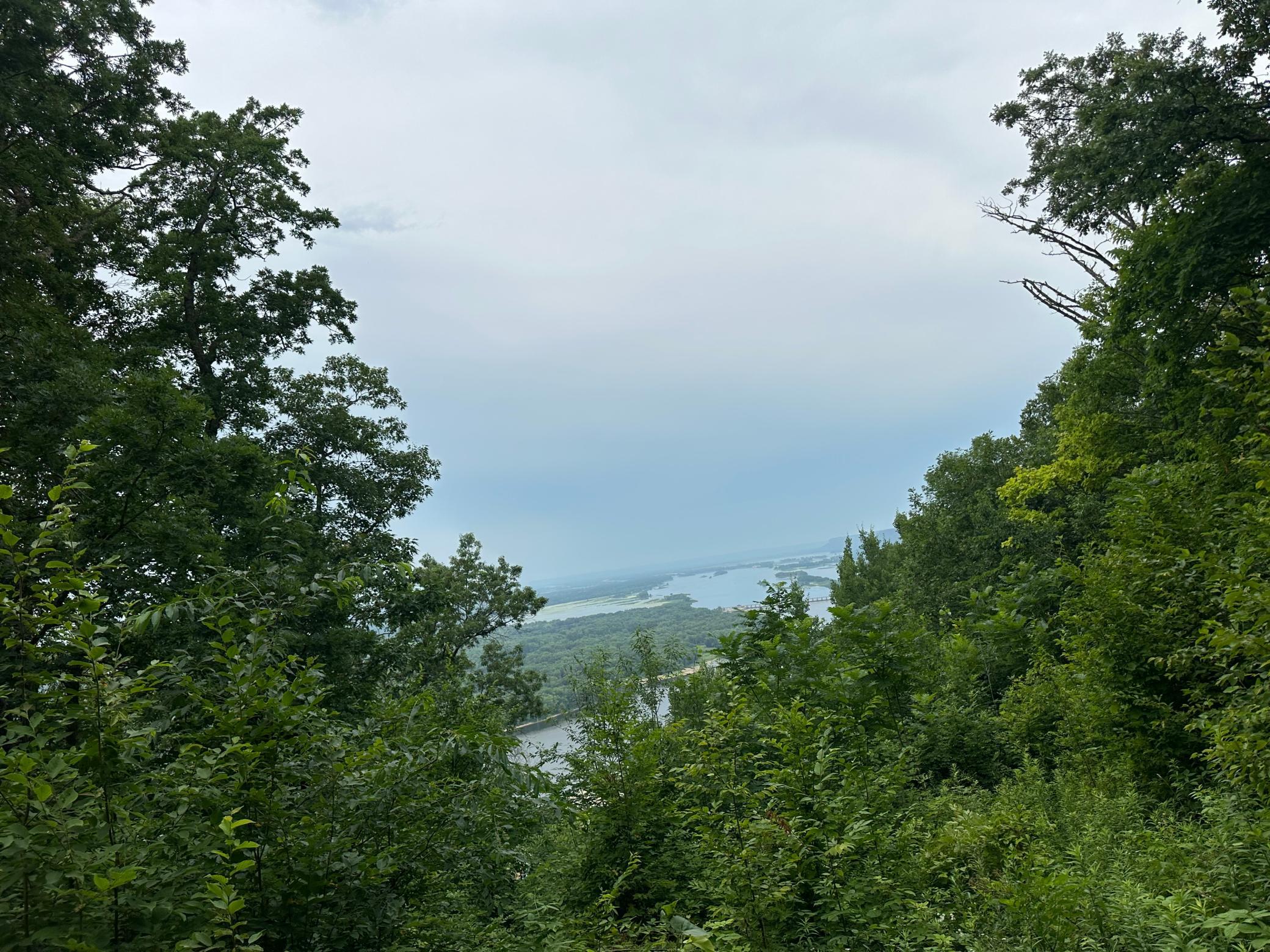 Alma Hills view from lot 1.