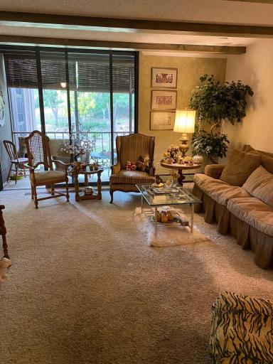 6075 Lincoln Drive, 201, Hopkins, MN 55436