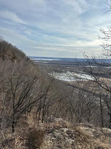 Lot 3 Alma Hills, Alma, WI 54610