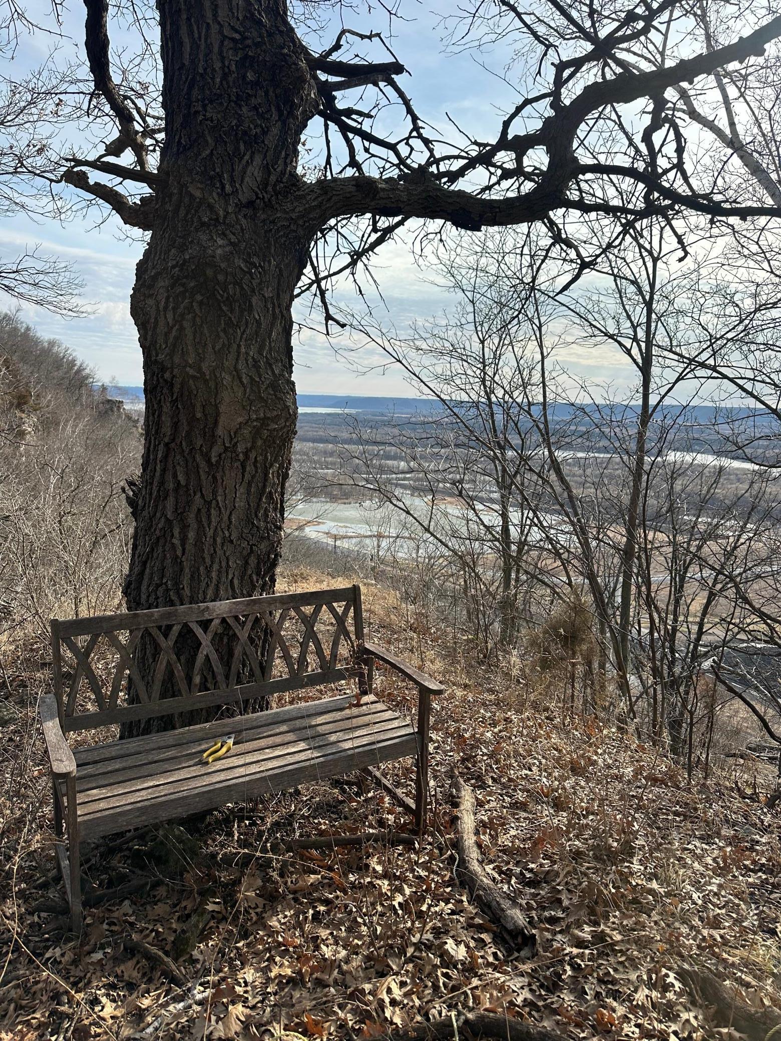 Photo's are of various views from all 4 Lots.