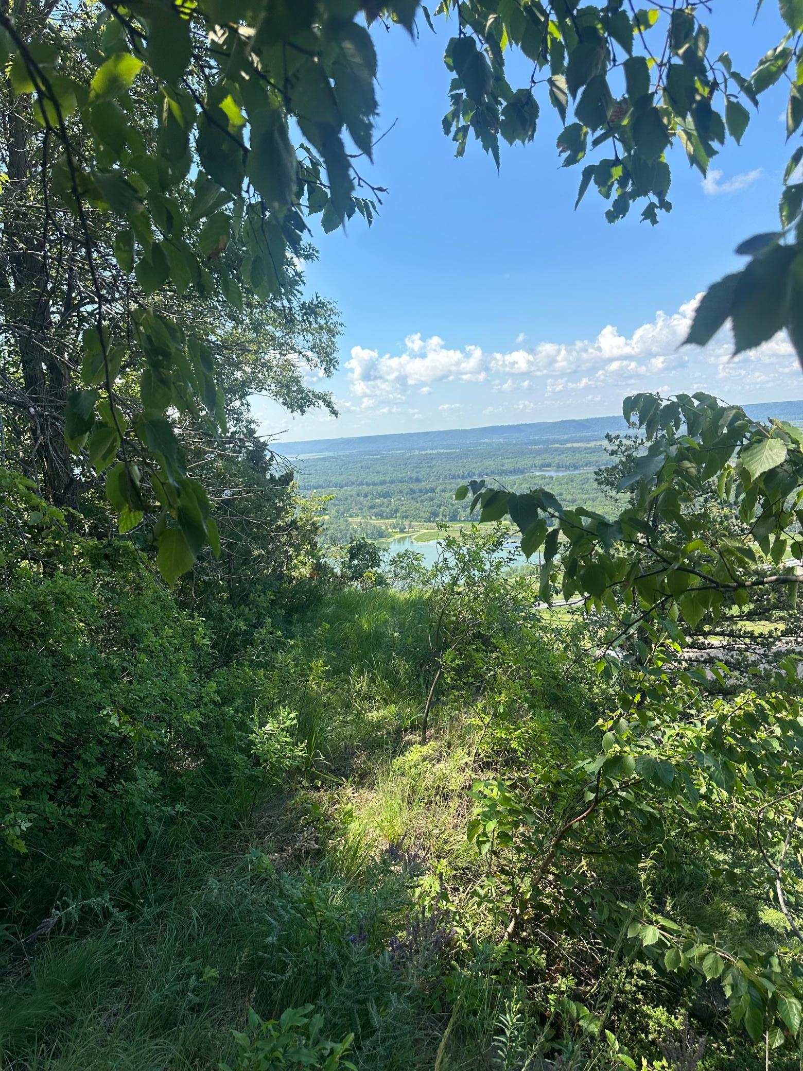 Northern View of the Mississippi