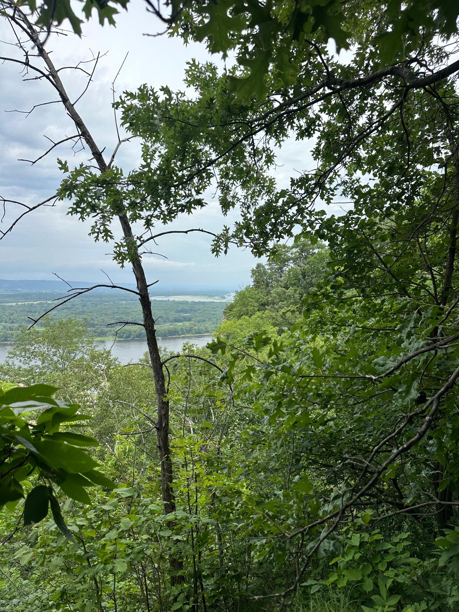 View's from Lot 1