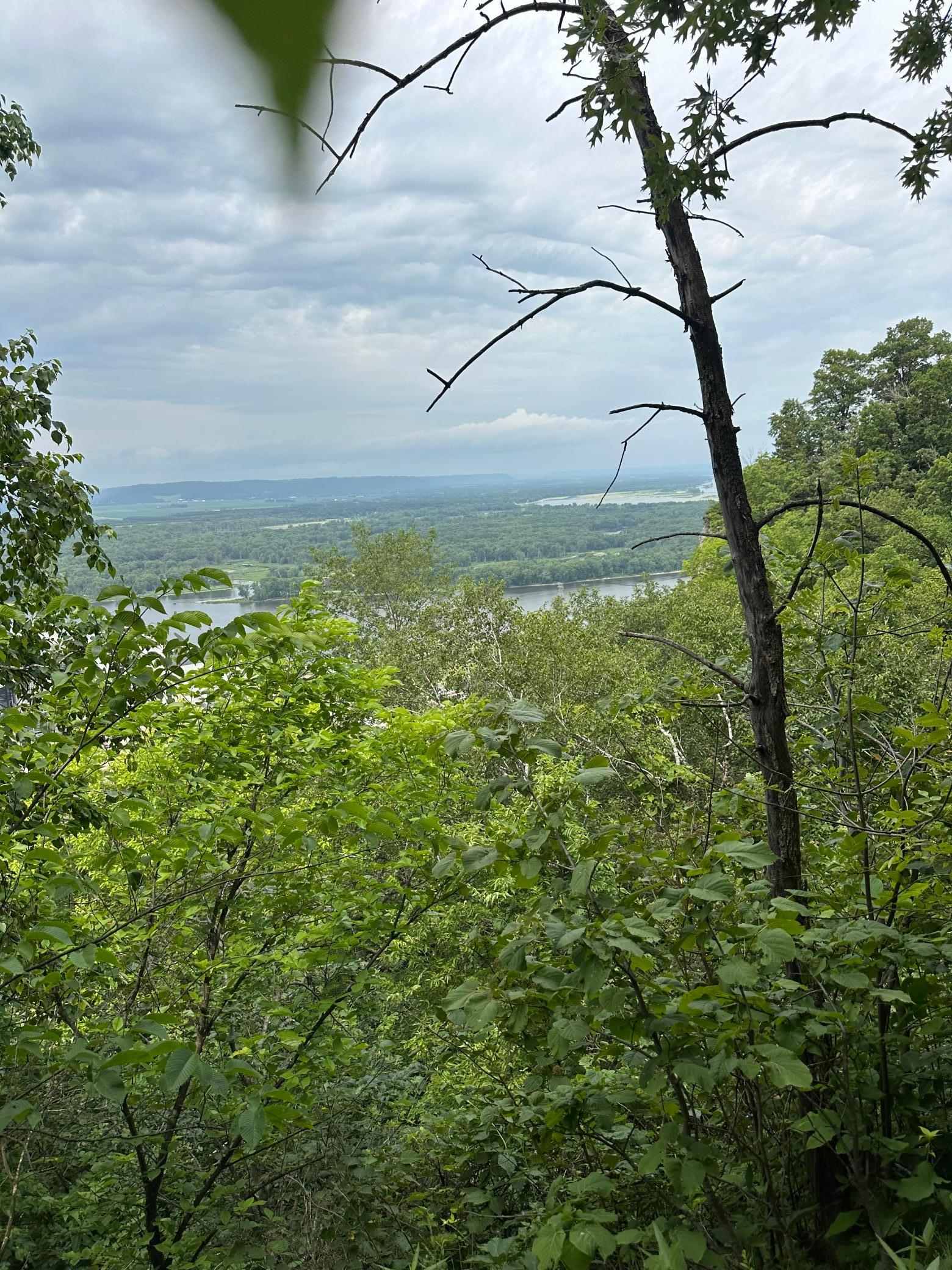 View's from Lot 4