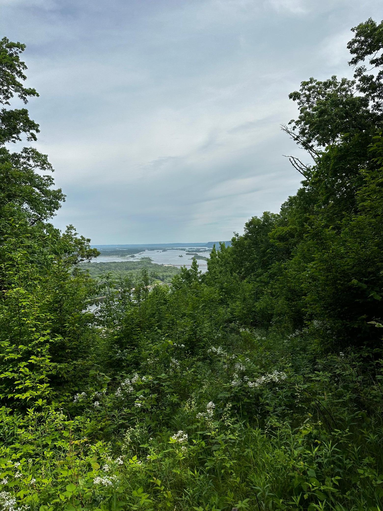 IMG_3666.jpeg