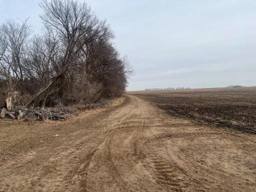 TBD 120th St SW, Milan, MN 56262