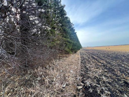 TBD 120th St SW, Milan, MN 56262