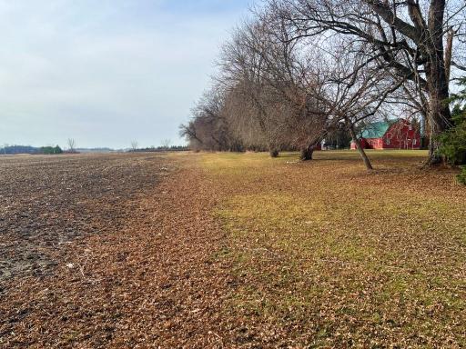 TBD 120th St SW, Milan, MN 56262