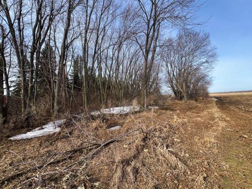 TBD 120th St SW, Milan, MN 56262