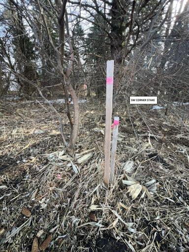 TBD 120th St SW, Milan, MN 56262