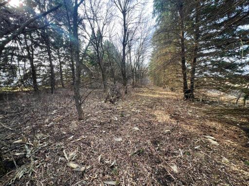 TBD 120th St SW, Milan, MN 56262