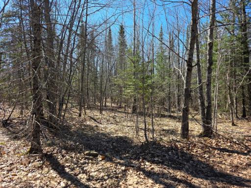 TBD Stark Road, Cloquet, MN 55720